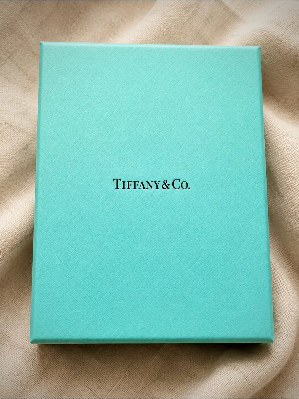 Tiffany & Co. 3 Mini Shopping Bags + Empty Gift Box | Blue Packaging | 4 Pc Set